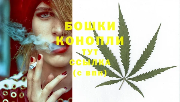 гидропоника Балахна