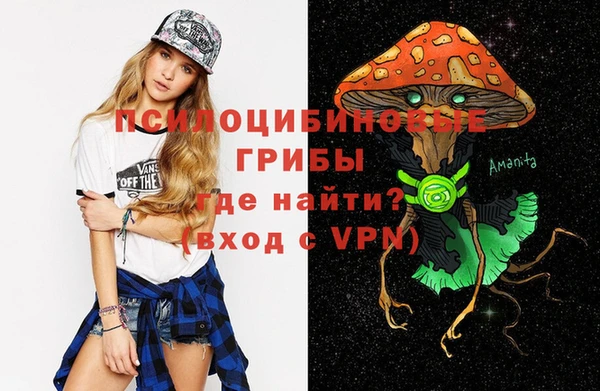 гидропоника Балахна